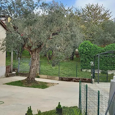 Bella Regina Arpino