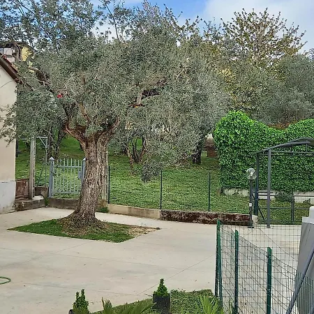 Bella Regina Arpino